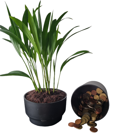 Pot cache billets